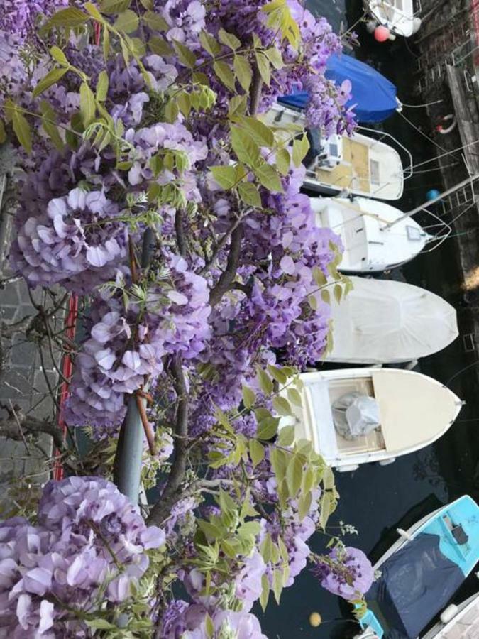 瓦伦纳Casa Balcony公寓 外观 照片